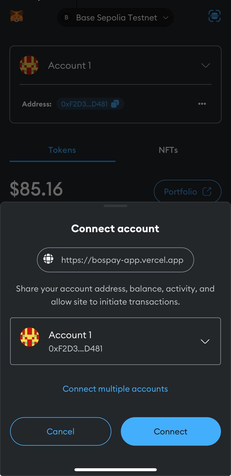 MetaMask Connection Screenshot